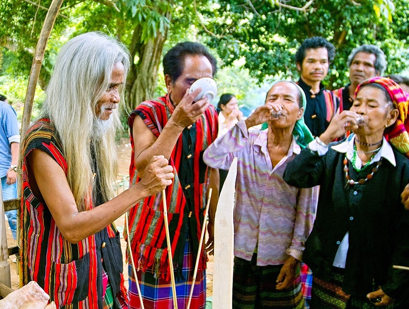 cá cược thể thao hul city